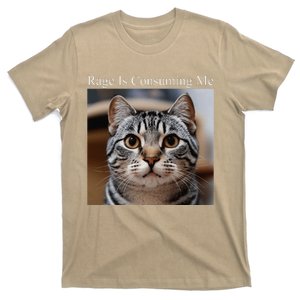 Rage Is Consuming Me Silly Staring Cat Meme Oddly Specific T-Shirt