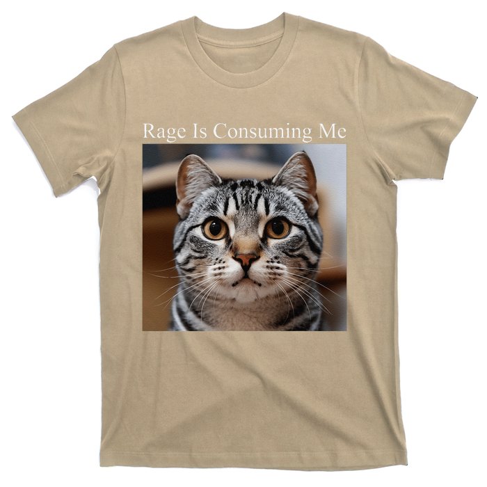 Rage Is Consuming Me Silly Staring Cat Meme Oddly Specific T-Shirt