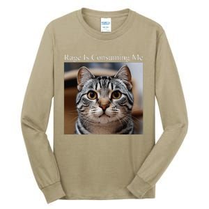 Rage Is Consuming Me Silly Staring Cat Meme Oddly Specific Tall Long Sleeve T-Shirt