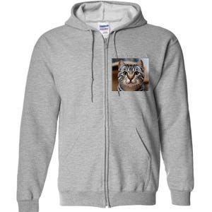 Rage Is Consuming Me Silly Staring Cat Meme Oddly Specific Full Zip Hoodie