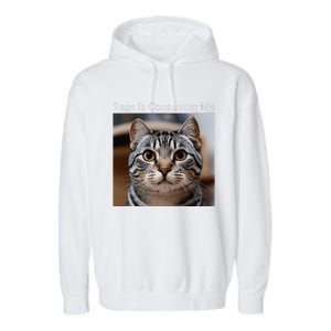 Rage Is Consuming Me Silly Staring Cat Meme Oddly Specific Garment-Dyed Fleece Hoodie