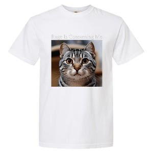 Rage Is Consuming Me Silly Staring Cat Meme Oddly Specific Garment-Dyed Heavyweight T-Shirt