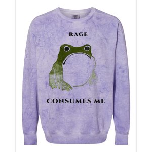 Rage Is Consuming Me Meme Frog Meme Colorblast Crewneck Sweatshirt