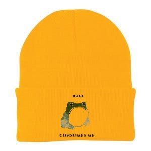 Rage Is Consuming Me Meme Frog Meme Knit Cap Winter Beanie