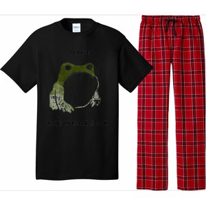 Rage Is Consuming Me Meme Frog Meme Pajama Set