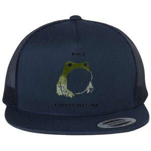 Rage Is Consuming Me Meme Frog Meme Flat Bill Trucker Hat