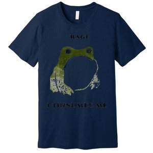 Rage Is Consuming Me Meme Frog Meme Premium T-Shirt