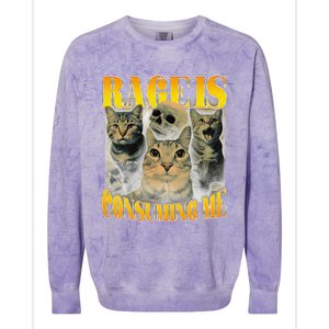 Rage Is Consuming Me Cat Meme Colorblast Crewneck Sweatshirt