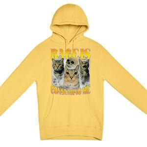 Rage Is Consuming Me Cat Meme Premium Pullover Hoodie