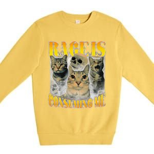 Rage Is Consuming Me Cat Meme Premium Crewneck Sweatshirt