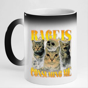 Rage Is Consuming Me Cat Meme 11oz Black Color Changing Mug