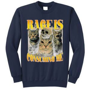 Rage Is Consuming Me Cat Meme Sweatshirt