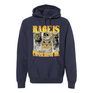 Rage Is Consuming Me Cat Meme Premium Hoodie