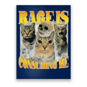 Rage Is Consuming Me Cat Meme Poster