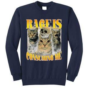 Rage Is Consuming Me Cat Meme Tall Sweatshirt