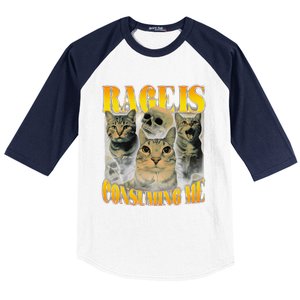 Rage Is Consuming Me Cat Meme Baseball Sleeve Shirt