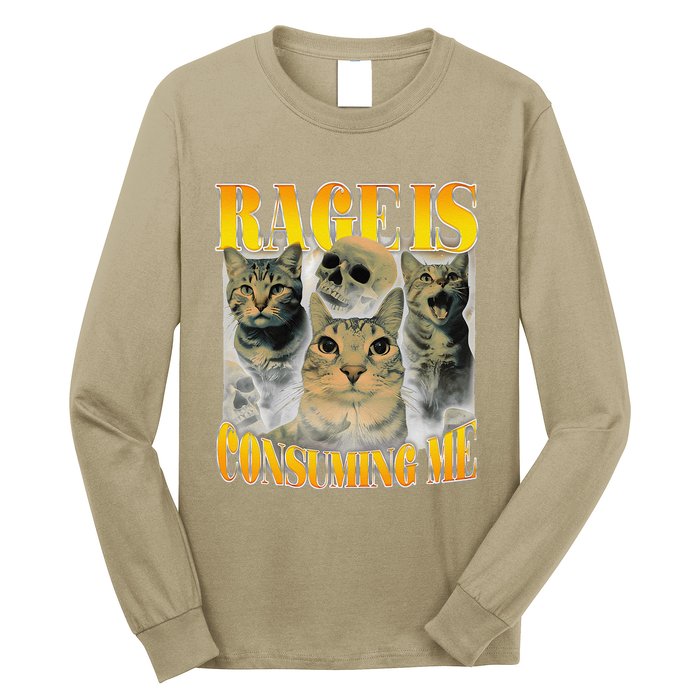 Rage Is Consuming Me Cat Meme Long Sleeve Shirt