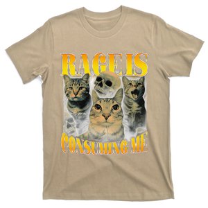 Rage Is Consuming Me Cat Meme T-Shirt