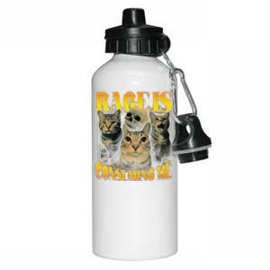 Rage Is Consuming Me Cat Meme Aluminum Water Bottle