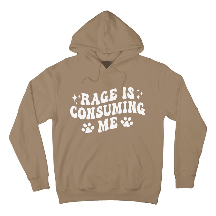 Rage Is Consuming Me Groovy Retro Silly Staring Cat Meme Hoodie