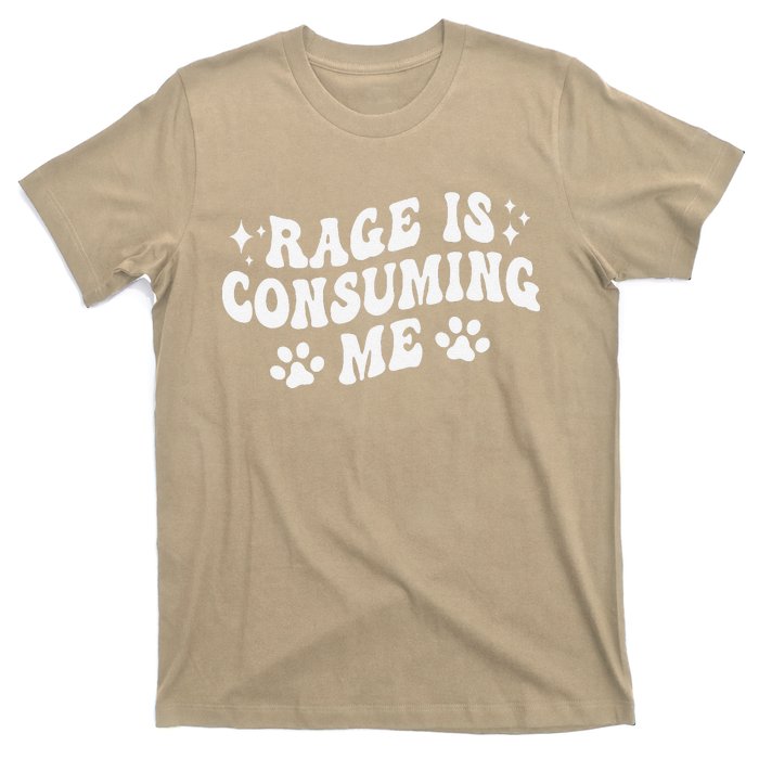 Rage Is Consuming Me Groovy Retro Silly Staring Cat Meme T-Shirt