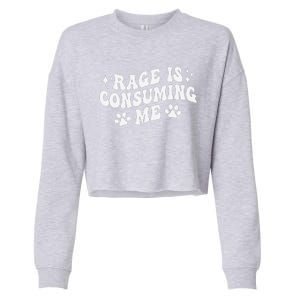 Rage Is Consuming Me Groovy Retro Silly Staring Cat Meme Cropped Pullover Crew