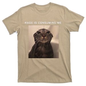 Rage Is Consuming Me Silly Staring Cat Meme T-Shirt