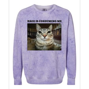 Rage Is Consuming Me Cat Meme Colorblast Crewneck Sweatshirt