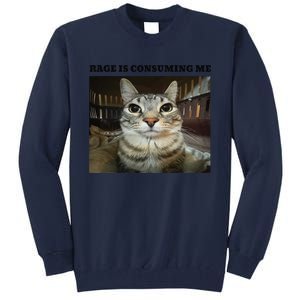 Rage Is Consuming Me Cat Meme Tall Sweatshirt