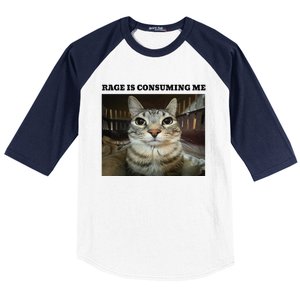 Rage Is Consuming Me Cat Meme Baseball Sleeve Shirt