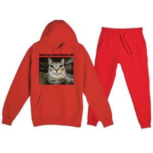 Rage Is Consuming Me Cat Meme Premium Hooded Sweatsuit Set