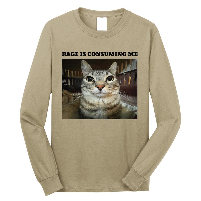 Rage Is Consuming Me Cat Meme Long Sleeve Shirt