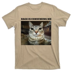 Rage Is Consuming Me Cat Meme T-Shirt