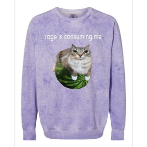 Rage Is Consuming Me Watermelon Cat Silly Cat Meme Colorblast Crewneck Sweatshirt