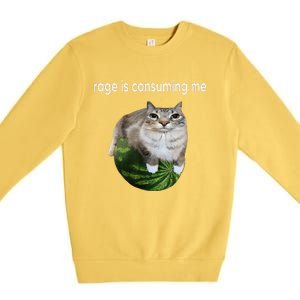 Rage Is Consuming Me Watermelon Cat Silly Cat Meme Premium Crewneck Sweatshirt