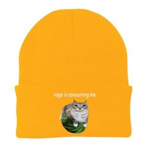 Rage Is Consuming Me Watermelon Cat Silly Cat Meme Knit Cap Winter Beanie