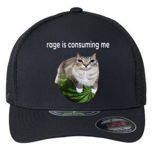 Rage Is Consuming Me Watermelon Cat Silly Cat Meme Flexfit Unipanel Trucker Cap