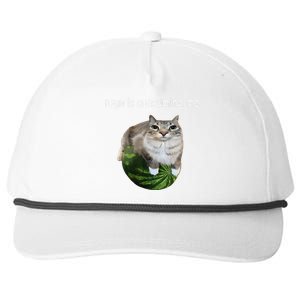 Rage Is Consuming Me Watermelon Cat Silly Cat Meme Snapback Five-Panel Rope Hat