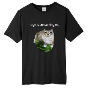 Rage Is Consuming Me Watermelon Cat Silly Cat Meme Tall Fusion ChromaSoft Performance T-Shirt