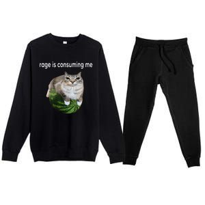 Rage Is Consuming Me Watermelon Cat Silly Cat Meme Premium Crewneck Sweatsuit Set