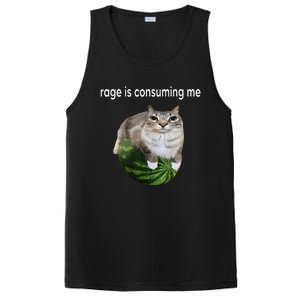 Rage Is Consuming Me Watermelon Cat Silly Cat Meme PosiCharge Competitor Tank