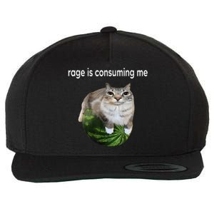 Rage Is Consuming Me Watermelon Cat Silly Cat Meme Wool Snapback Cap