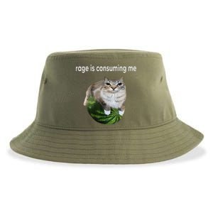 Rage Is Consuming Me Watermelon Cat Silly Cat Meme Sustainable Bucket Hat