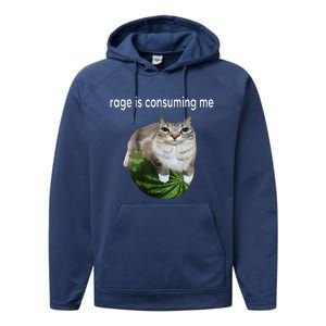 Rage Is Consuming Me Watermelon Cat Silly Cat Meme Performance Fleece Hoodie