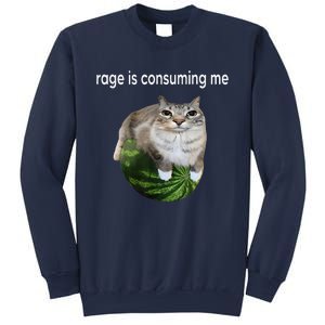 Rage Is Consuming Me Watermelon Cat Silly Cat Meme Sweatshirt