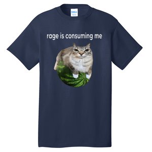 Rage Is Consuming Me Watermelon Cat Silly Cat Meme Tall T-Shirt