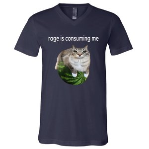 Rage Is Consuming Me Watermelon Cat Silly Cat Meme V-Neck T-Shirt