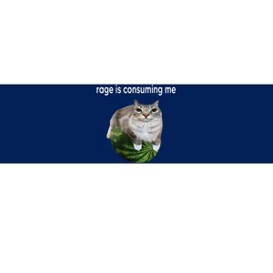 Rage Is Consuming Me Watermelon Cat Silly Cat Meme Bumper Sticker