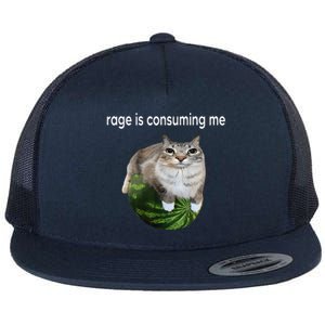 Rage Is Consuming Me Watermelon Cat Silly Cat Meme Flat Bill Trucker Hat