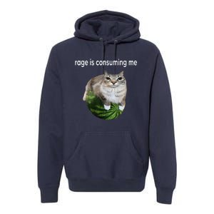 Rage Is Consuming Me Watermelon Cat Silly Cat Meme Premium Hoodie